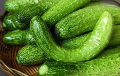 8203瓜在哪吃,揭秘最佳品尝地