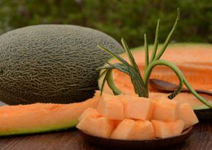 哈密瓜适不适合高血压吃