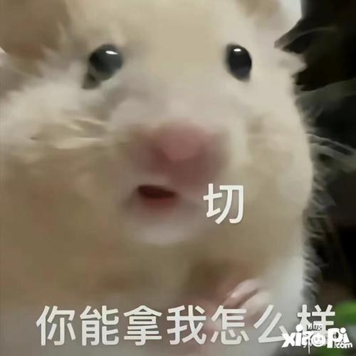 吃瓜睡不着,那些让人“吃瓜”到失眠的幕后故事