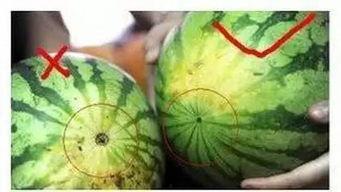 吃瓜找重点,揭秘娱乐圈焦点事件背后的真相