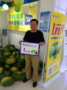 吃瓜群众今天丰产,吃瓜群众今日聚焦丰收喜悦