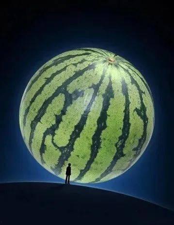 江爽吃瓜群,揭秘娱乐圈幕后故事