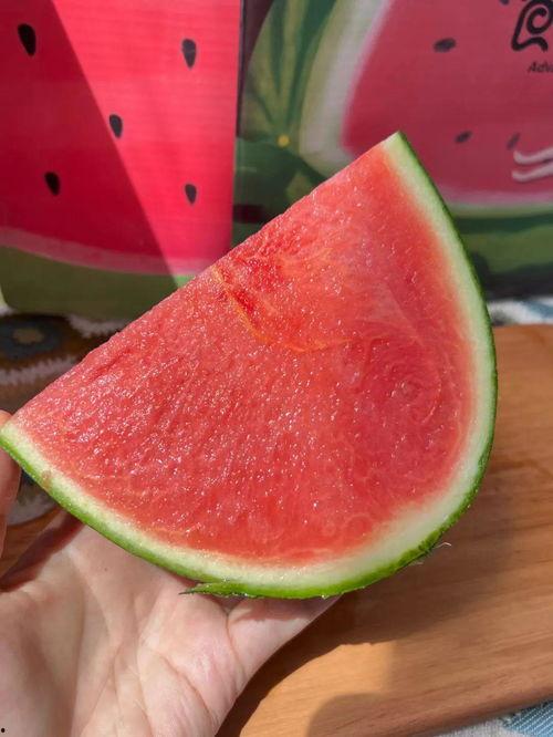 吃瓜中创作,吃瓜群众视角下的娱乐圈风云录