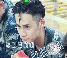 吃瓜群众男明星,揭秘吃瓜群众眼中的男明星