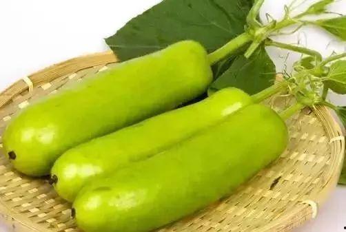 葫芦瓜老了怎么吃,创意烹饪指南