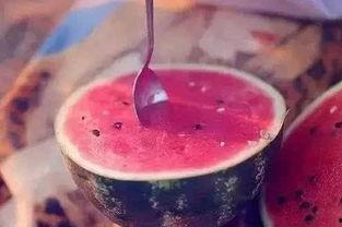 吃瓜保定,揭秘这座古城的美食传奇