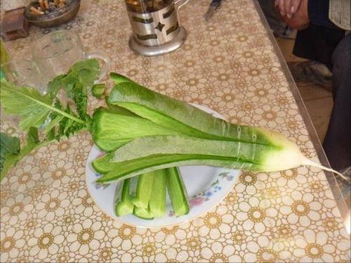 萝卜男朋友吃瓜,萝卜男友的甜蜜瓜果时光