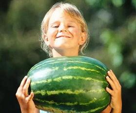 安溪龙湖吃瓜事件