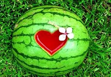 梦见别人分半瓜吃,半瓜分食的寓意与启示